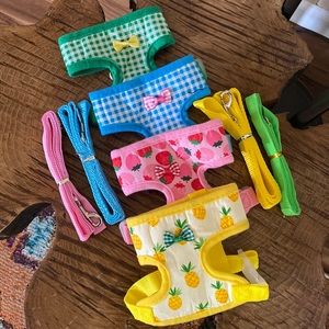 Set of 4 adjustable chicken or duck harnesses with leash
